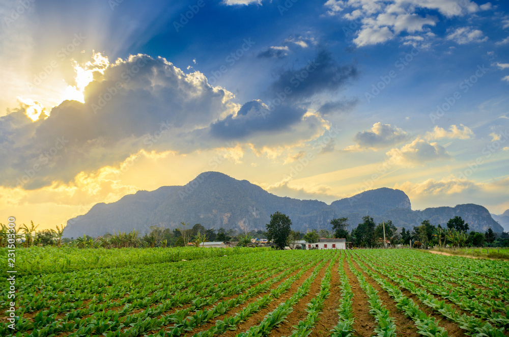 Vineales, rural Cuban tobacco farm, planter house at sunset