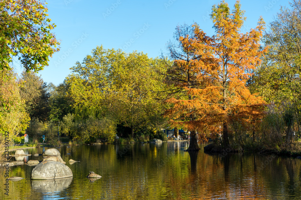 Fototapeta premium Herbssttimmung am See im Westpark München