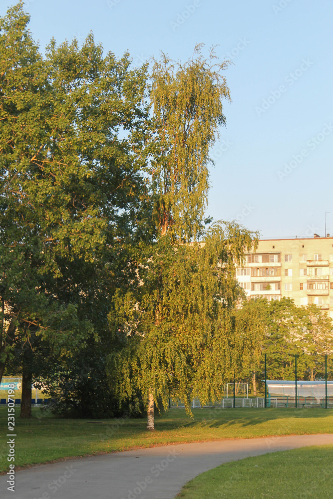 Naklejka premium autumn in the park