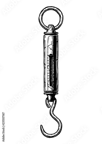 spring balance or newton meter