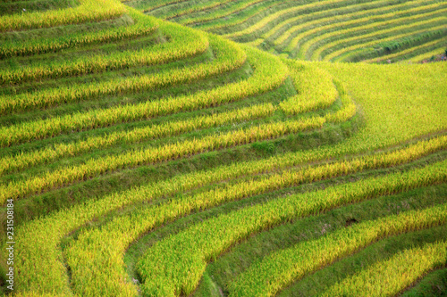 Longji Rice Terraces photo