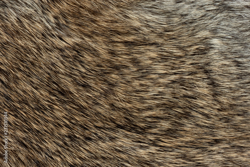 Macro close up of rabbit fur