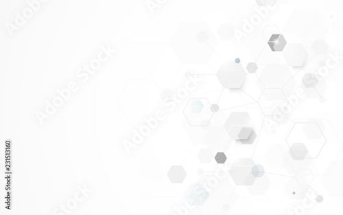 Abstract white geometric hexagon shape with science and technology concept background