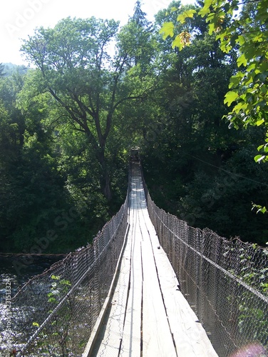 bridge in the forest karpatian