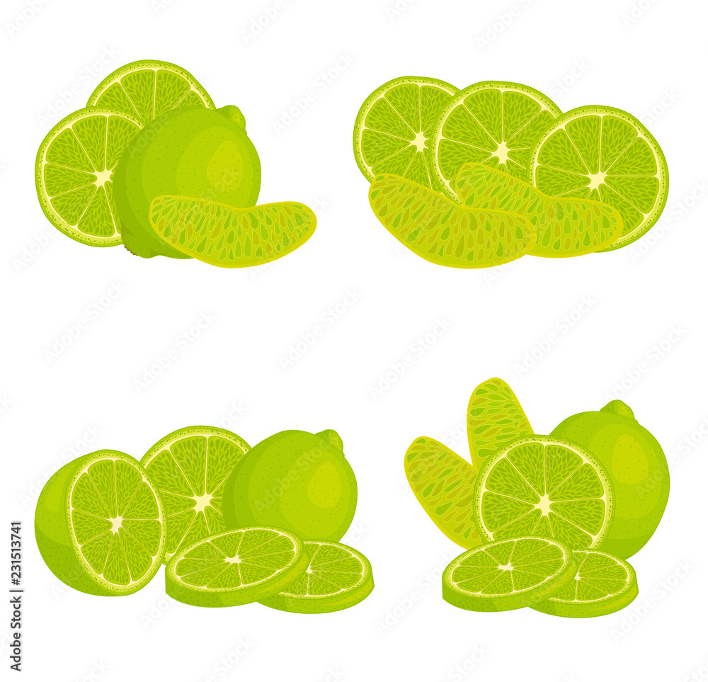 Set of lime compositions. Vector fruit whole, sliced, half, slices and rings. Different angles