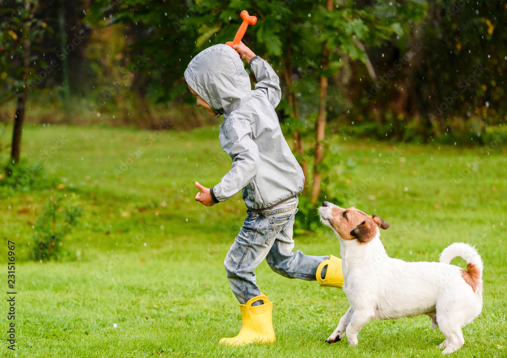 Fototapeta Kid boy wearing waterproof coat playing with dog under rain