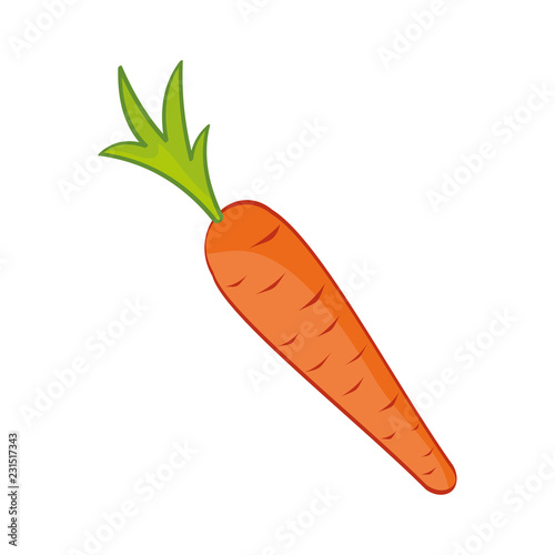 Carrot vegetable isolated vector icon. Single veggie with colorful stalk and leaves of root-crop, flat design in cartoon style, healthy organic food