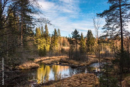 Herbstlandschaft  in Schweden mit Fluss und Wald
