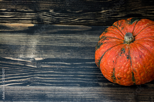 Pumpkin on a dark wooden background. photo