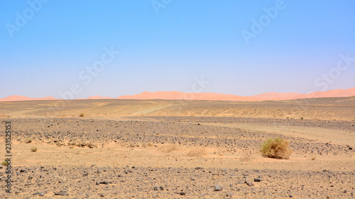 Sahara desert  Morocco  Africa