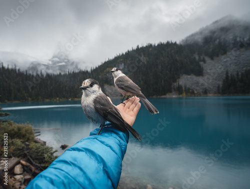 Two birds sitting on an arm
