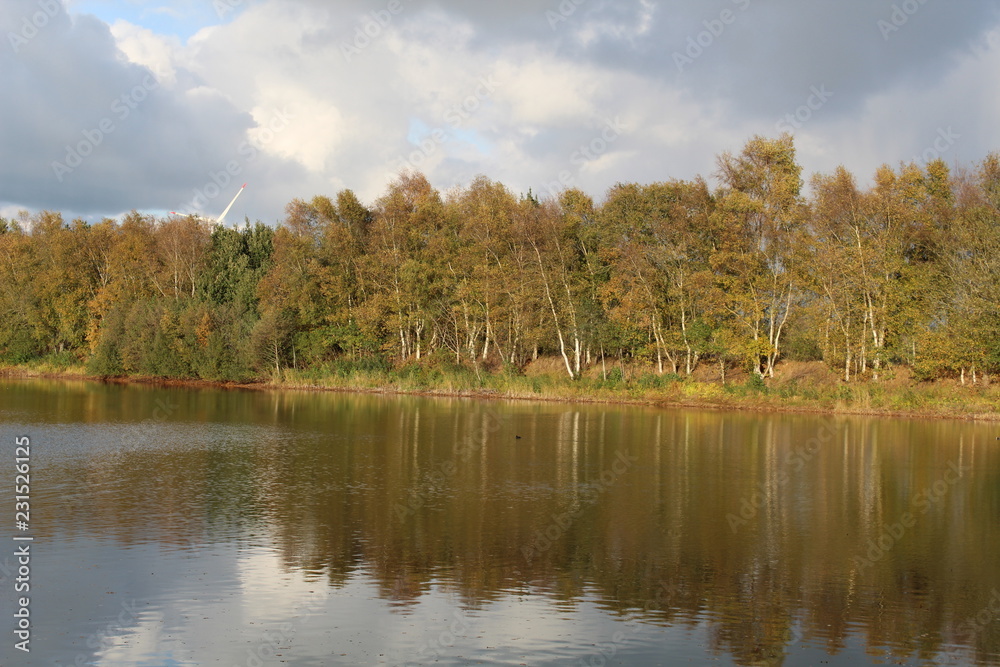 Reflection in a small lake