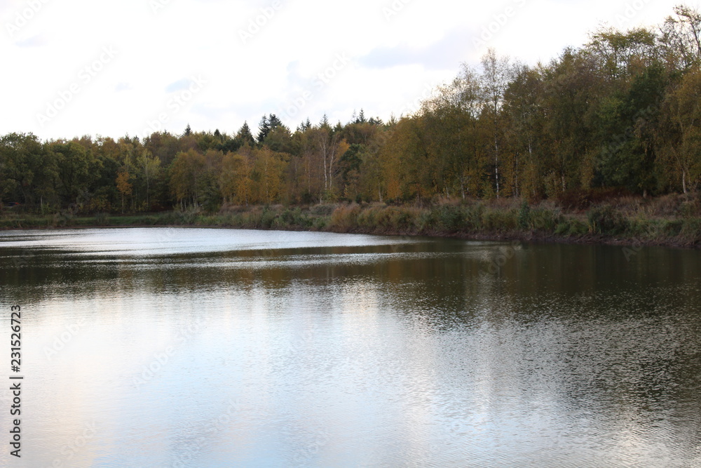 Reflection in a small lake