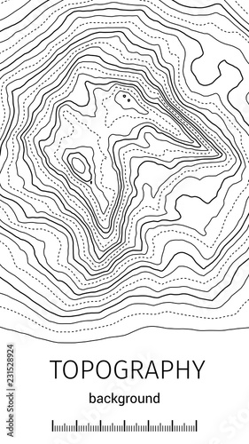 Brochure, poster, advertising design. Vector contour topographic map background. Topography and geography map grid abstract backdrop. Business concept. Vector illustration