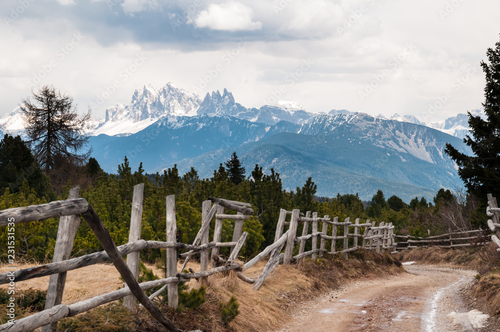 Wanderweg auf den Villanderer Almen mit Blick auf die Dolomiten, Südtirol