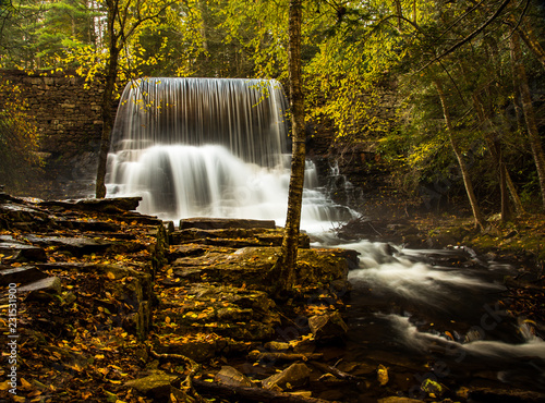 Woodland waterfall in autumn
