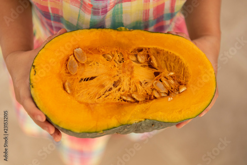 Organic orange pumpkin in child hands