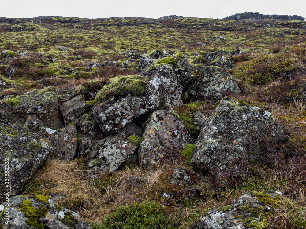 Moss on Rocks