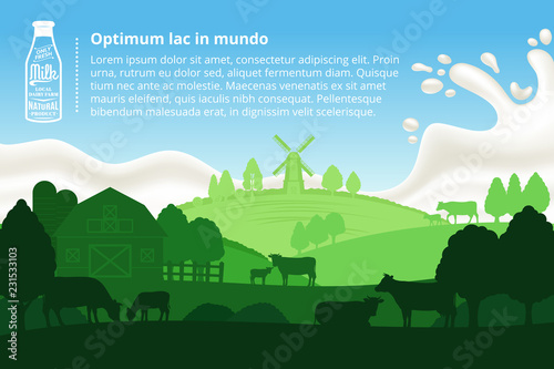 Vector milk illustration with cows, calves, farm and milk splash