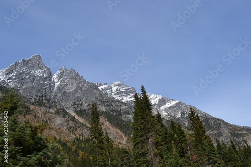  mountains, blue sky, canada, trees, mountain view, snow © Richard