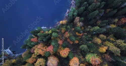 Colorful trees in forest on shore blue lake from above flying drone photo