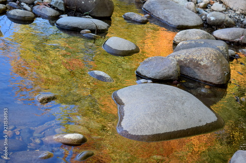 River Fall Reflections