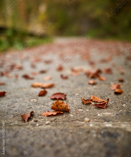 Empty road in the mountains