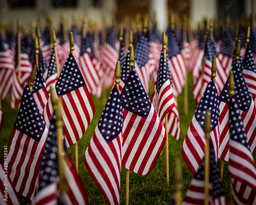 A field of flags