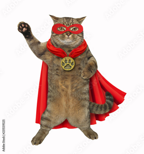 The super cat is wearing a red cloak, a mask and a golden locket. White background.