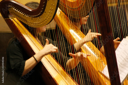Slika na platnu Two women play the harp during a symphonic concert