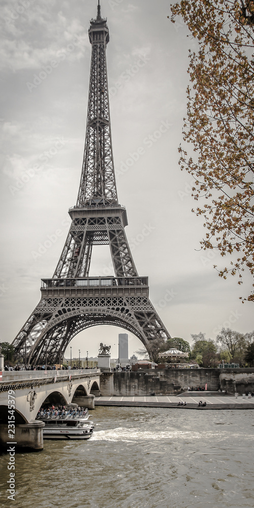 Naklejka premium Eiffelturm mit Baum in Schwarz Weiß hochkant mit Wolken in Paris Frankreich