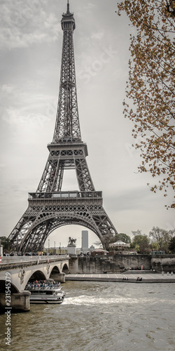 Fototapeta Naklejka Na Ścianę i Meble -  Eiffelturm mit Baum in Schwarz Weiß hochkant mit Wolken in Paris Frankreich