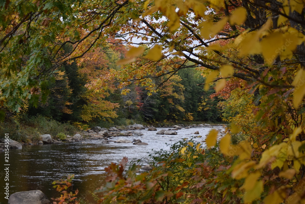 Maine River in the Fall