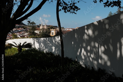 Angro through the trees 002