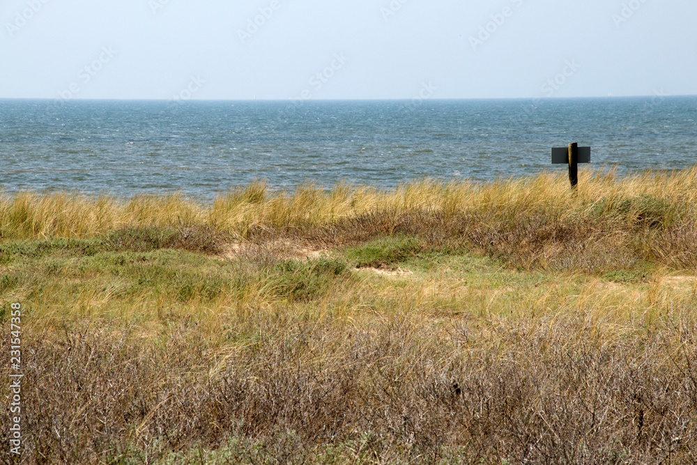 Obraz premium People walking in the dunes