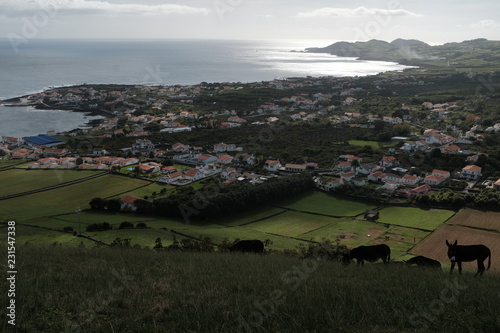 Porto Martins 001