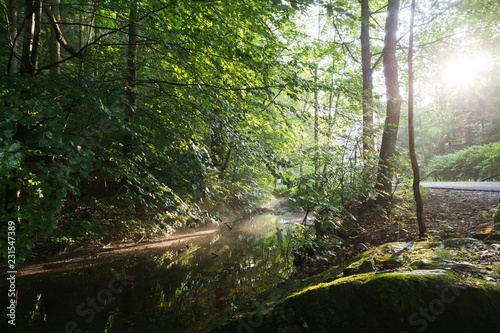 Fototapeta Naklejka Na Ścianę i Meble -  Water stream in the small village in nature. Czech Republic