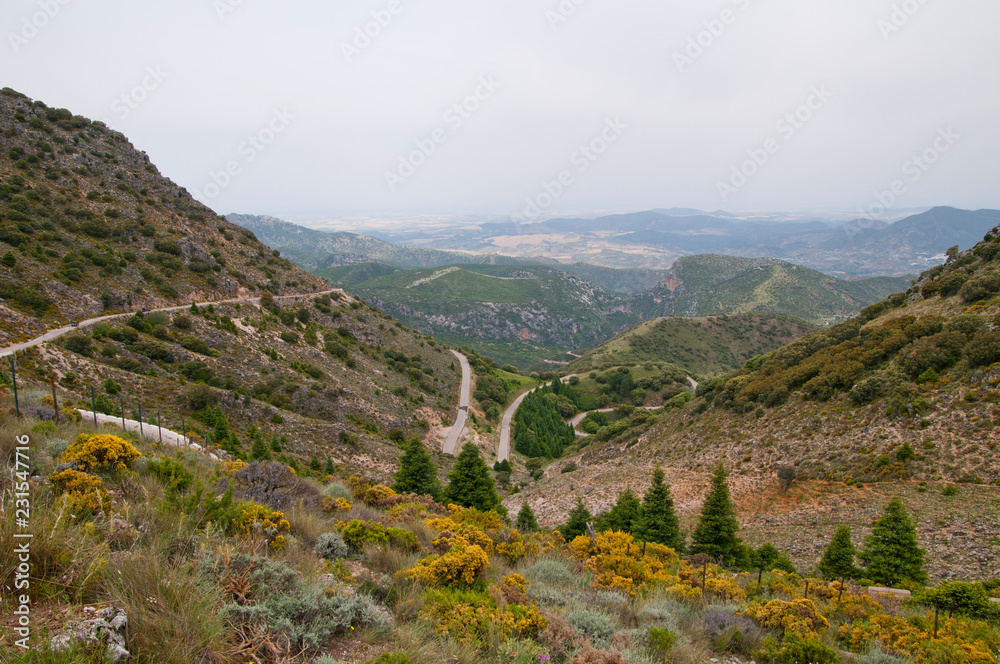 Naklejka premium Sierra de Grazalema, Andalusien, Spanien