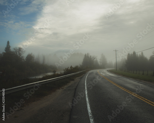 morning fog roadscape