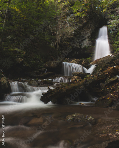 Wallpaper Mural waterfall in the forest Torontodigital.ca