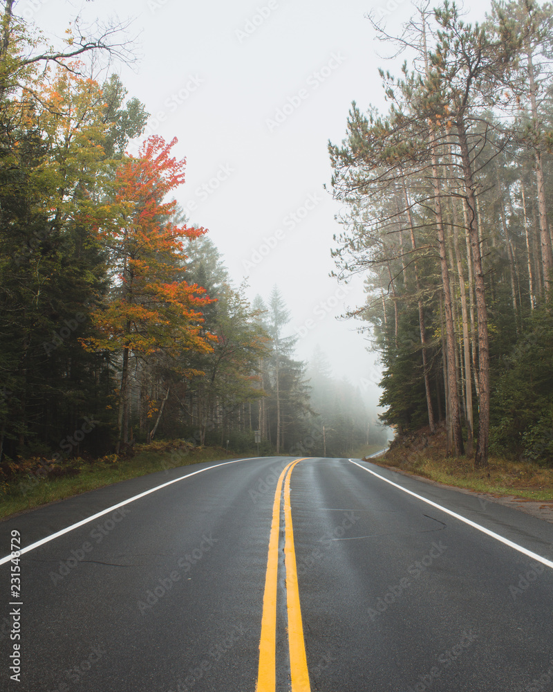 foggy fall roadscape #4