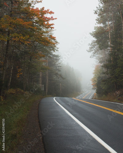 foggy fall roadscape #3