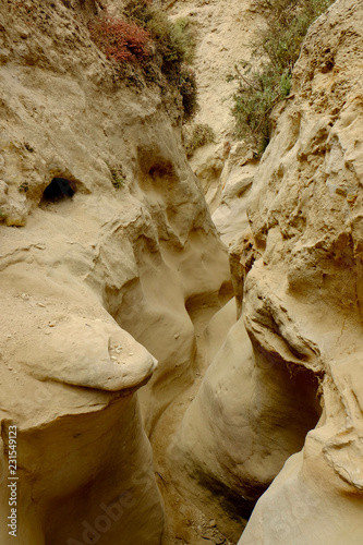 Ho Chi Minh Trail in Torry Pines State Park, San Diego, California.