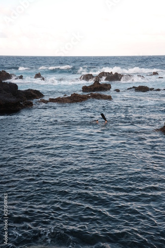 Diver in Portugal