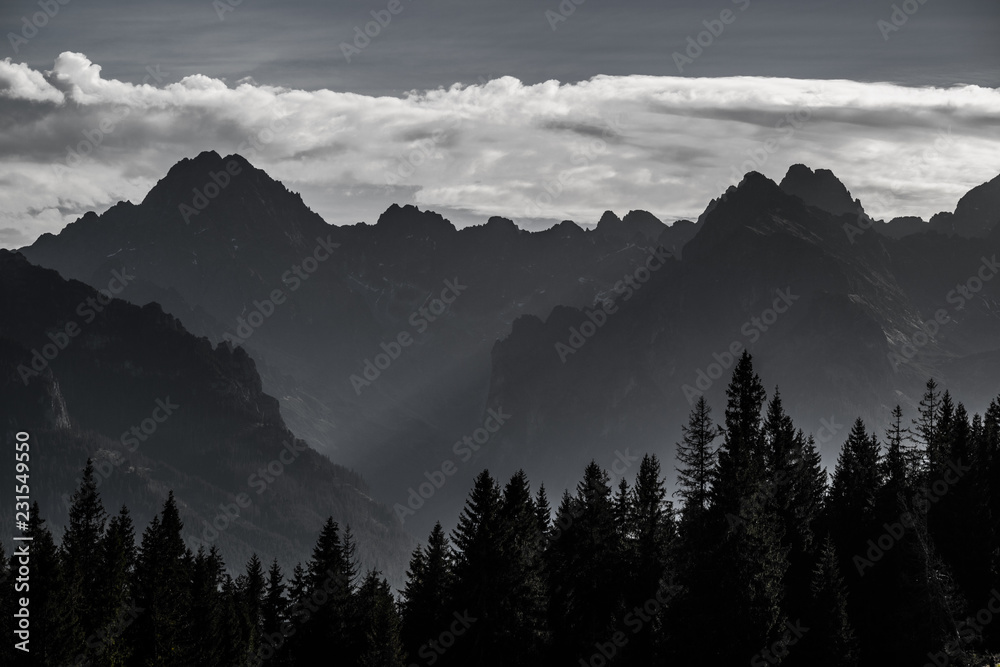 Obraz premium Panorama Tatr Wysokich z Rusinowej polany z Gerlachem