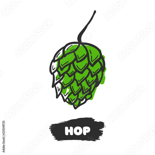 Vector illustration of hand drawing hop on white background.