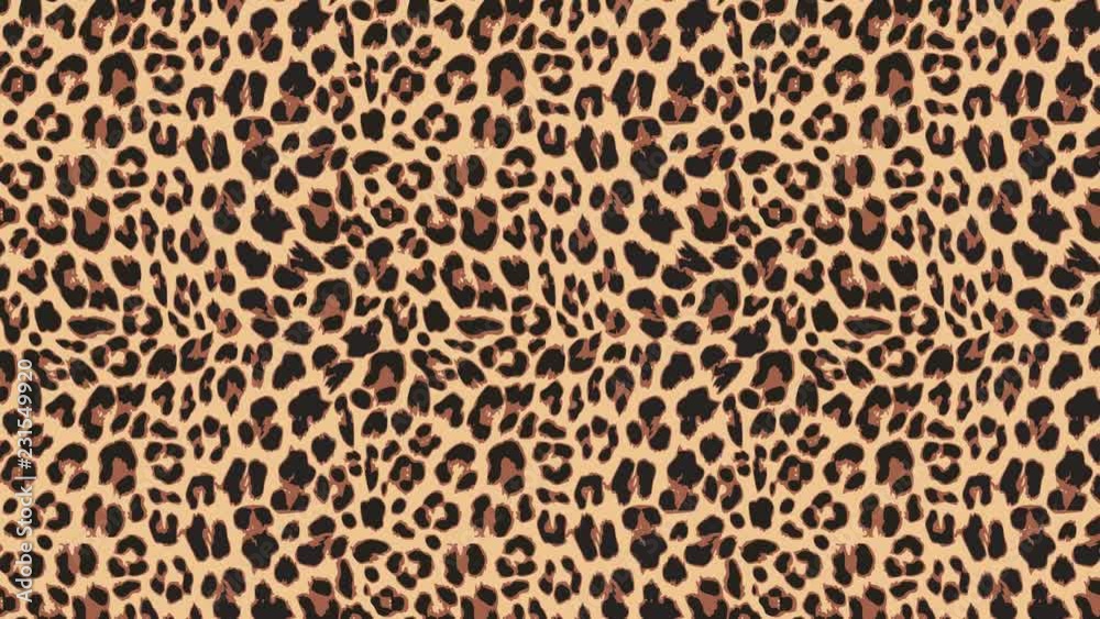 Close up, slow motion of moving leopard hair. Seamless loopable animationof beautiful exotic animal pattern. Abstract natural background. African wild cat fur. Close up, slow motion of moving leopard hair. Seamless loopable animationof beautiful exotic animal pattern. Abstract natural background. African wild cat fur.