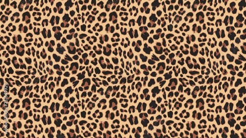Close up, slow motion of moving leopard hair. Seamless loopable animationof beautiful exotic animal pattern. Abstract natural background. African wild cat fur.