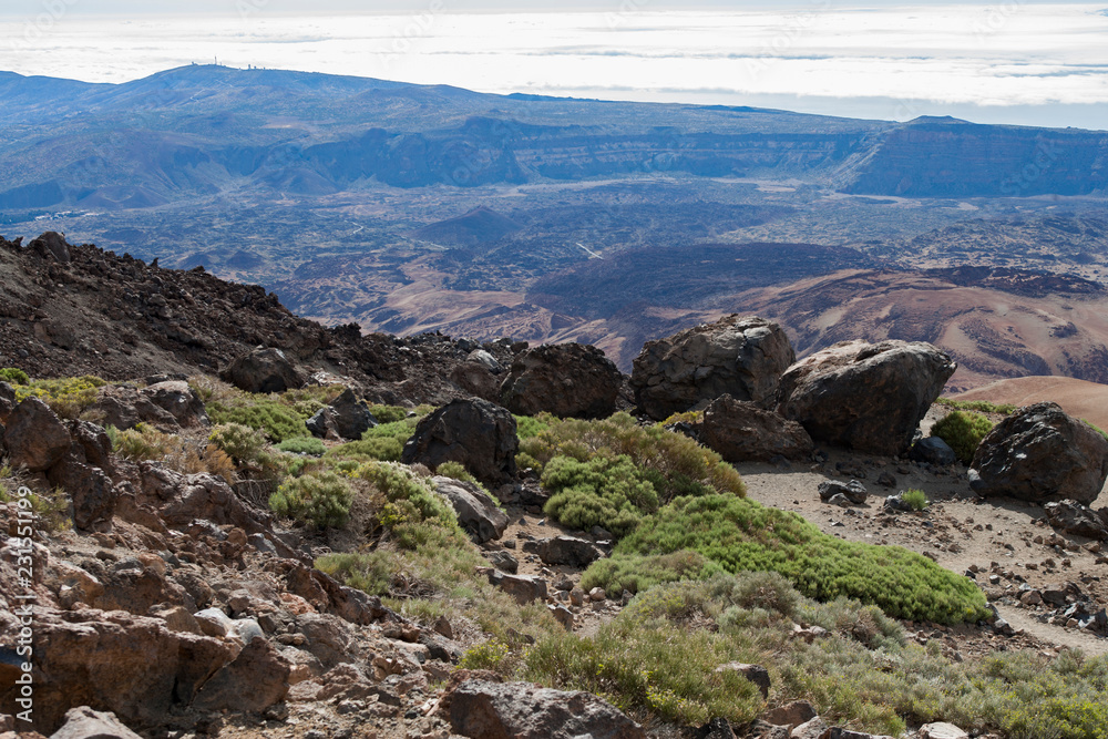 Fototapeta premium На острове Тенерифе / On the island of Tenerife