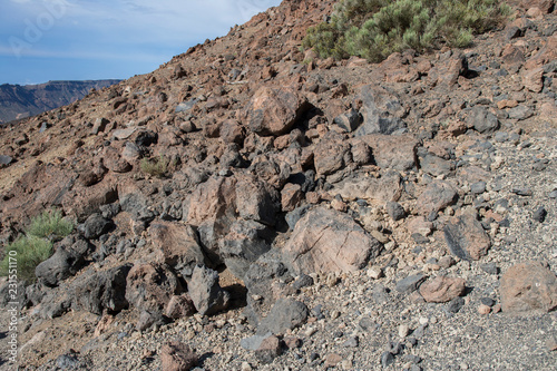 На острове Тенерифе / On the island of Tenerife